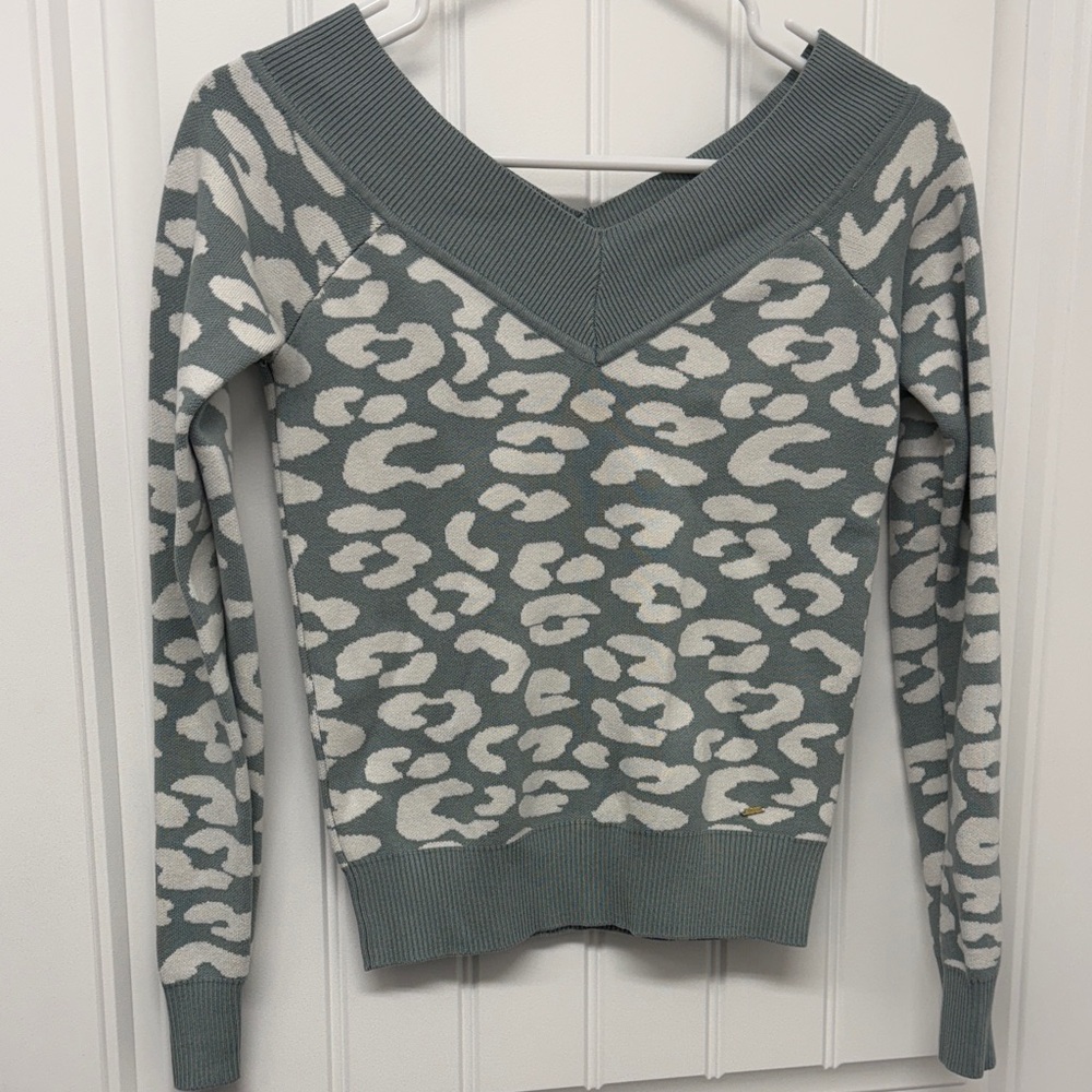 GUESS V-Neck Leopard Print Sweater – Sage and Cream size small
